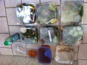 Raw Food From The Healthy Haven